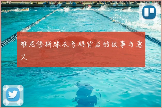 维尼修斯球衣号码背后的故事与意义