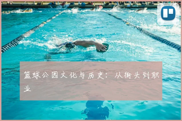 篮球公园文化与历史：从街头到职业