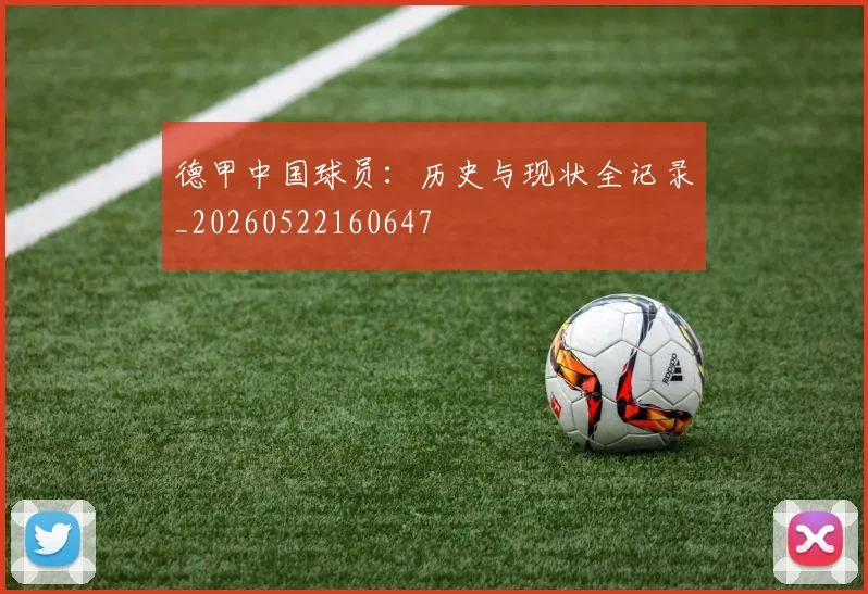 德甲中国球员：历史与现状全记录_20260522160647