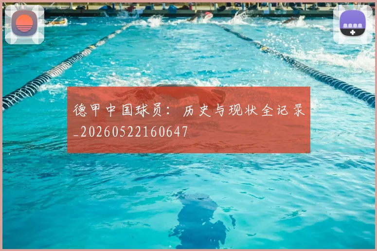 德甲中国球员：历史与现状全记录_20260522160647