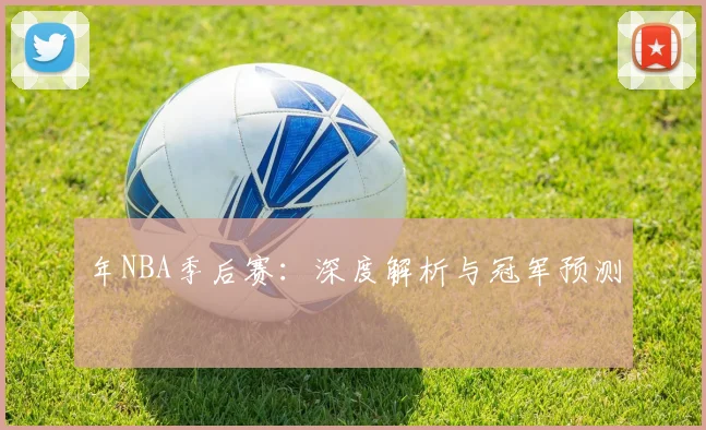 年NBA季后赛：深度解析与冠军预测