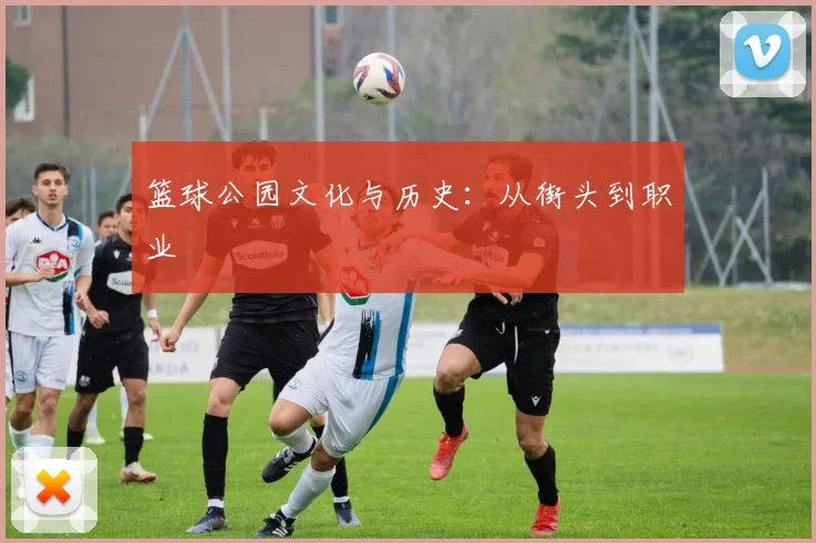 篮球公园文化与历史:从街头到职业
